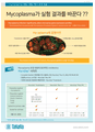 Mycoplasma 예방 검출 제거 시약